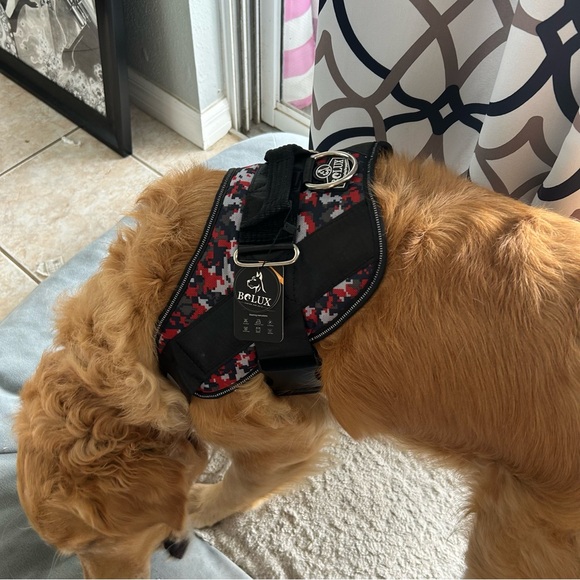BoLux Tactical Dog Harness – NWT – XL Red or L Gray – No Pull – Heavy Duty - Picture 9 of 11